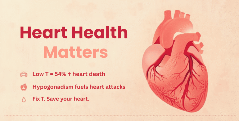 Hypogonadism & Heart Health: How Low T Raises CVD Risk