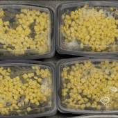 Cayenne Garlic Shredded Chicken Meal Prep for Tirzepatide