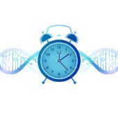 Semaglutide Slows Epigenetic Aging: Ozempic May Do More Than Melt Fat