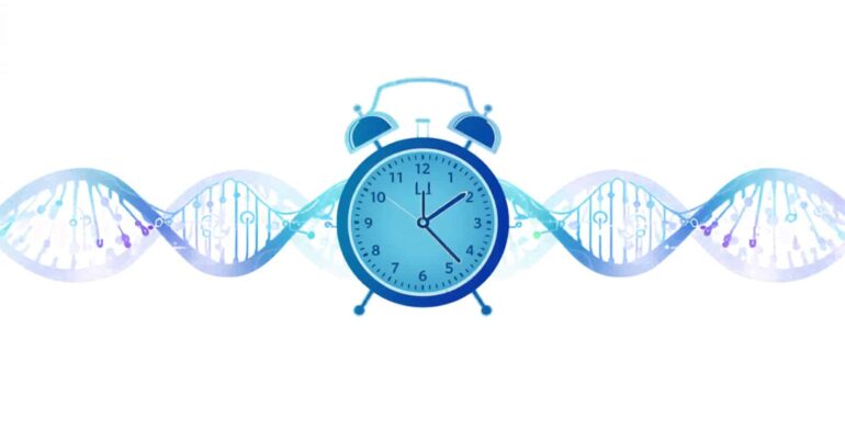 Semaglutide Slows Epigenetic Aging: Ozempic May Do More Than Melt Fat
